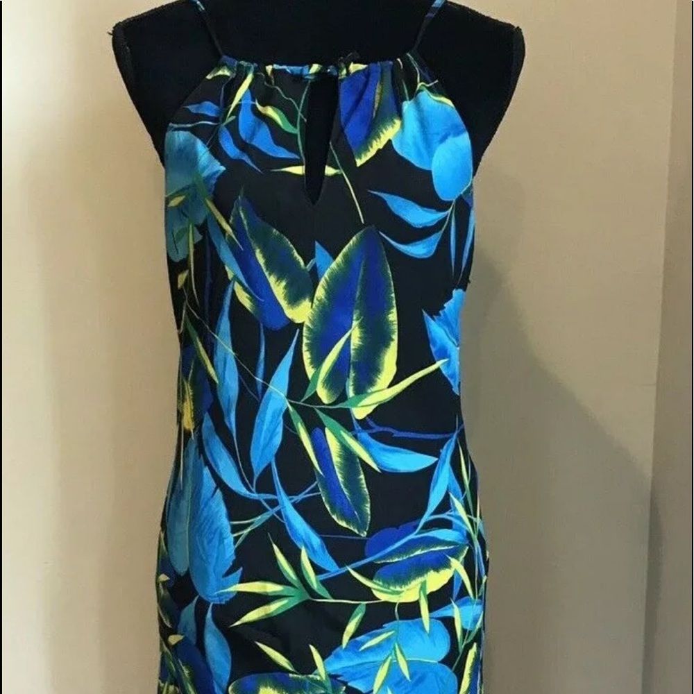 Women’s size 14p a wild thyme dress